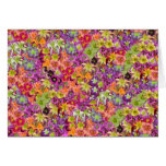 Thousands of Daylilies! Greeting Card