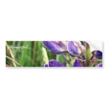 threatened endangered species and fire bumper stickers