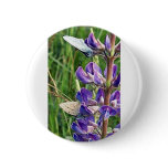 threatened endangered species and fire buttons