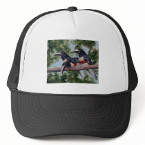 Three Amigo's Toucan Hat