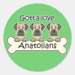 Three Anatolian Shepherds Stickers