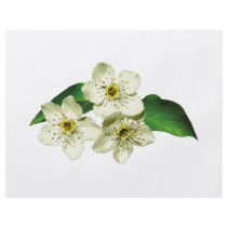 Three Apple Blossoms Flyer Design