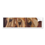 Three Arabians bumper stickers