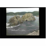 Three Arch Rocks photo sculptures