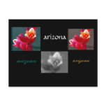 three arizona flowers postcard