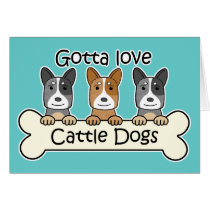 Three Australian Cattle Dogs
