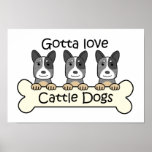 Three Australian Cattle Dogs posters