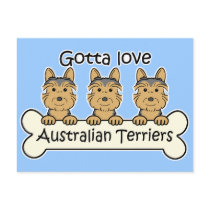 Three Australian Terriers Postcard