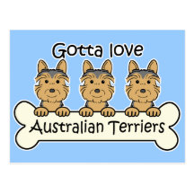 Three Australian Terriers Postcard
