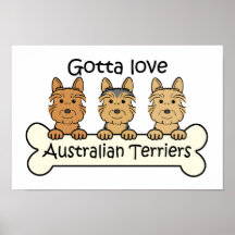 Three Australian Terriers Poster