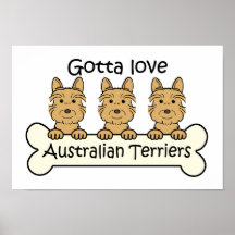 Three Australian Terriers Poster