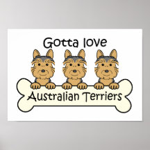 Three Australian Terriers Posters