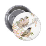 Three Baby Robins in a Cherry Tree Button