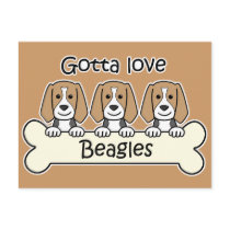 Three Beagles
