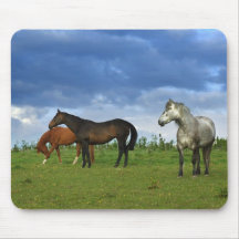 Three beautiful horses on sunny Summer day Mouse Mats