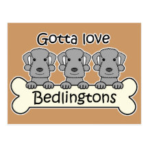 Three Bedlington Terriers Post Card