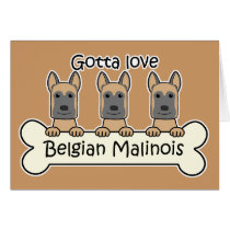 Three Belgian Malinois Cards