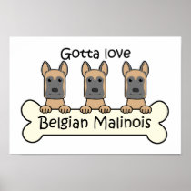 Three Belgian Malinois Print