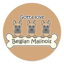 Three Belgian Malinois Sticker