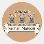 Three Belgian Malinois Sticker