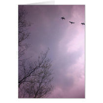 Three Birds Fly So high Greeting Cards