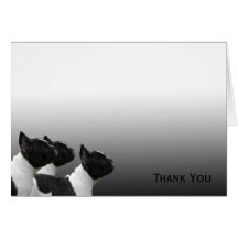 Three Black and White French Bulldogs Greeting Card