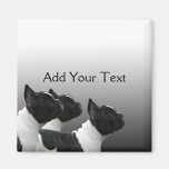 Three Black and White French Bulldogs Fridge Magnet