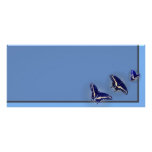 Three Black Swallowtail rack cards