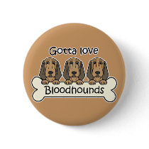 Three Bloodhounds Pinback Button