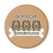 Three Bloodhounds Magnets
