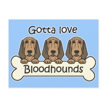 Three Bloodhounds Post Card