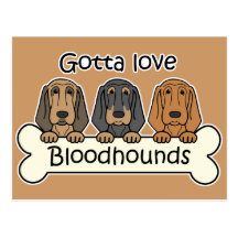 Three Bloodhounds Postcards