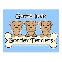 Three Border Terriers Post Cards