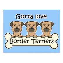 Three Border Terriers Post Cards