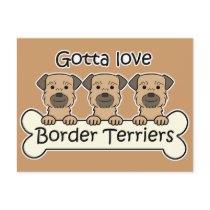 Three Border Terriers Post Card