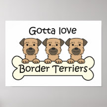 Three Border Terriers Print