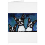 Three Boston Terriers design Cards
