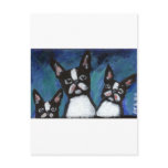 Three Boston Terriers design Postcard