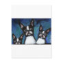 Three Boston Terriers design Postcard