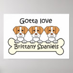 Three Brittany Spaniels posters