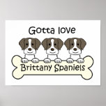 Three Brittany Spaniels posters