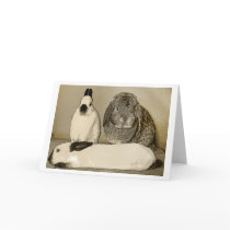 Three Bunnies Greeting Card