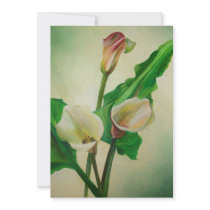 Three Calla Lilies Announcement