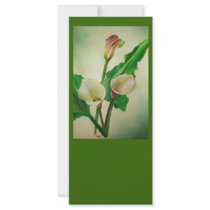 Three Calla Lilies Custom Rack Cards