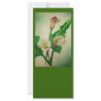 Three Calla Lilies Custom Rack Card