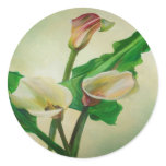 Three Calla Lilies Round Stickers