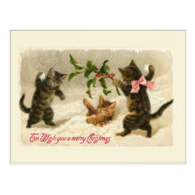 Three cats and a Holly branch Post Card
