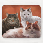 Three Cats Portrait Mousepad