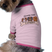 Three Cavalier King Charles Spaniels Dog Clothing