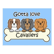 Three Cavalier King Charles Spaniels Post Cards